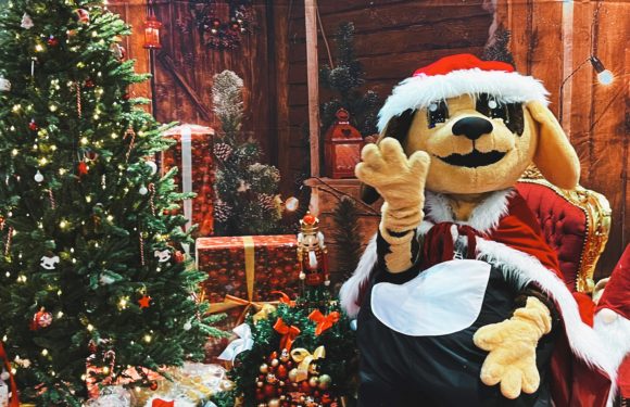 Weihnachtsprogramm 2022 Weihnachtsprogramm 2022